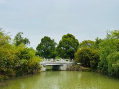 -苏州太湖国家湿地公园