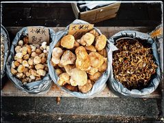 -北极村旅游风景区