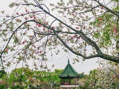 -无锡蠡湖国家湿地公园-蠡园