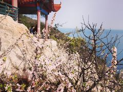 -燕窝岭