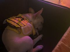 -M99 BEER世界啤酒吧(鸿云悦街店)