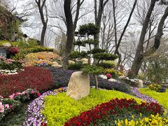 -青岛海滨风景区小鱼山