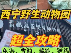 -青藏高原野生动物园