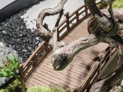 -松云泽
