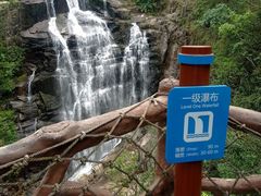 -海南热带雨林国家公园吊罗山景区