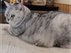 -隅cafe(傅厚岗店)