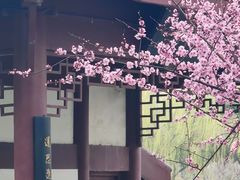 -堤角公园