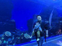 -成都浩海立方海洋公园