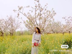 -古柏渡飞黄旅游区