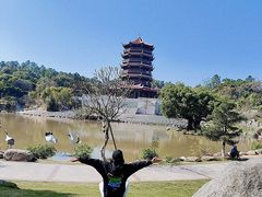 -八仙山公园