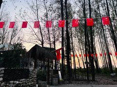 -林间山庄