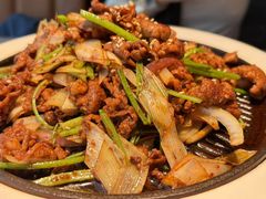 -秀儿四九城·新京菜(亚运村鸟巢店)