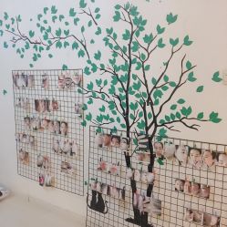 -宜肤清颜专业祛痘问题肌修护