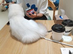 -藏猫猫咖啡主题馆(中央大道店)