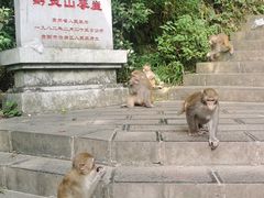 -黔灵山公园