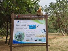 -鄱阳湖国家湿地公园