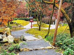 -三圣花乡旅游区