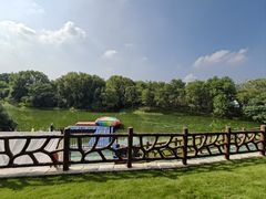 -太阳岛度假酒店