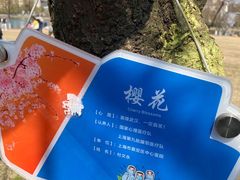 -西北湖绿化广场