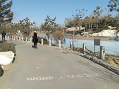 -通辽森林公园