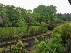 -铁山坪森林公园