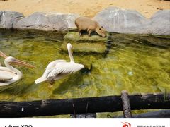 -沈阳森林动物园