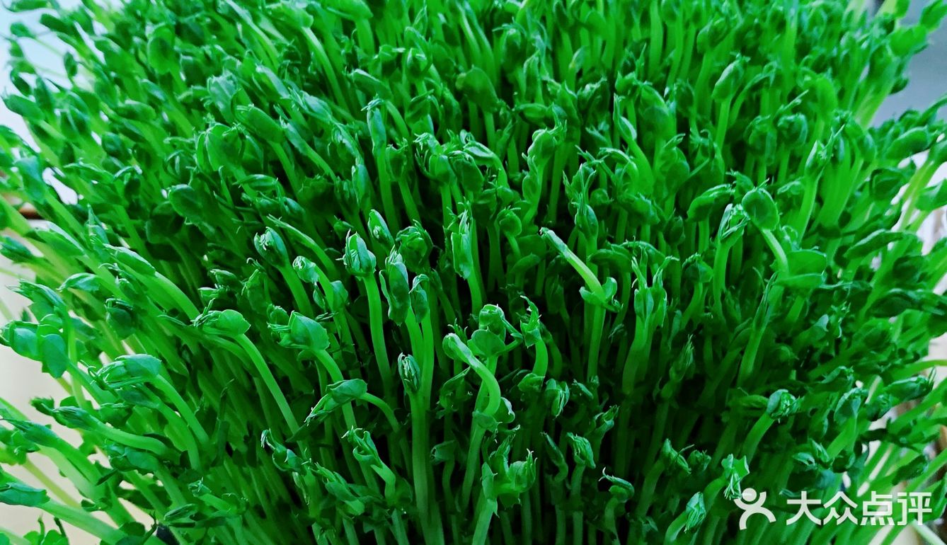 豆浆涮鱼，味道“吉”鲜