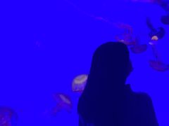 -青岛海底世界-水族馆