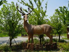 -溱湖国家湿地公园