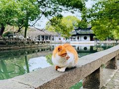 -西园寺
