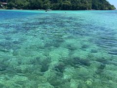 -东姑阿都拉曼海洋公园