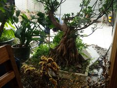 -西关84·History·Art·Cafe