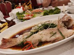 -金鮀岛潮州酒家