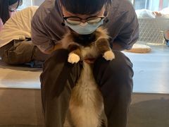 -猫儿山۰猫主题餐厅
