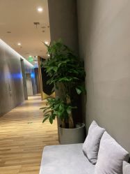 -卡莫瑜伽·普拉提