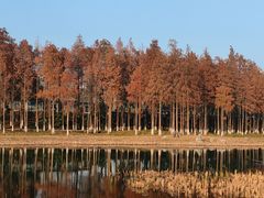 -苏州太湖国家湿地公园