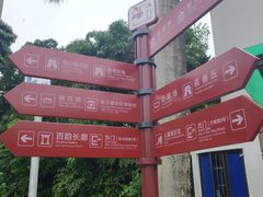-金花茶公园