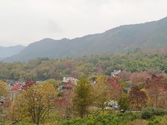 -塔川景区