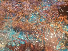 -新金盛·海鲜酒楼(盐田店)