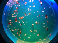 -多彩贵州城极地海洋世界