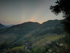 -紫鹊界梯田景区
