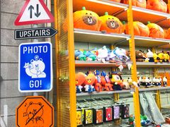 -line friends(明洞旗舰店)