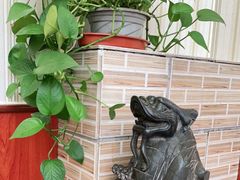 -崔记生活·铁锅炖鱼粘卷子(总店)