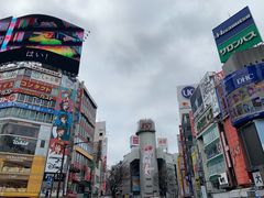 -涩谷区