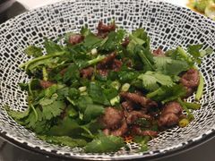 香菜牛肉-掌上鲜(南顺城街店)