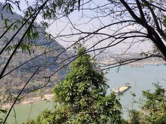 -铁山坪森林公园