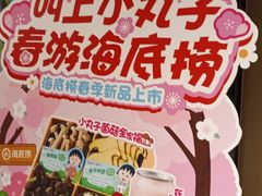 -海底捞火锅(吴中路店)