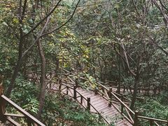 -大岭沟猕猴桃谷风景区