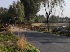 -东郊湿地公园