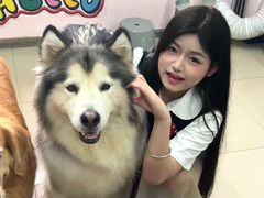 -汪说·狗咖(旺城大厦店)